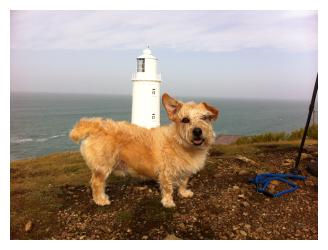 Trevose Head